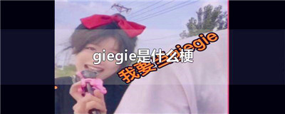 giegie是什么梗