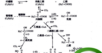 发酵的牛乳里含有什么酸