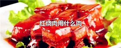 红烧肉用什么肉