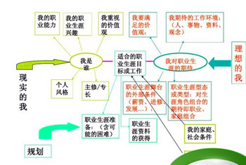 职业生涯发展目标分什么和什么