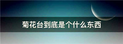 菊花台到底是个什么东西，周杰伦有一首歌叫什么花图1