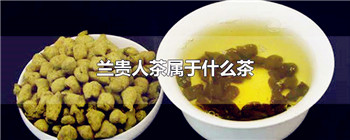 兰贵人茶属于什么茶