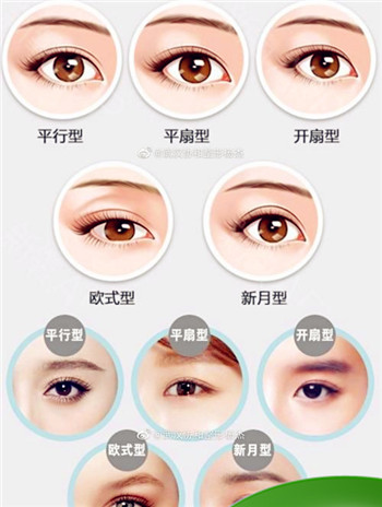 科普几种常见眼形，眼睛样子有几种？图2