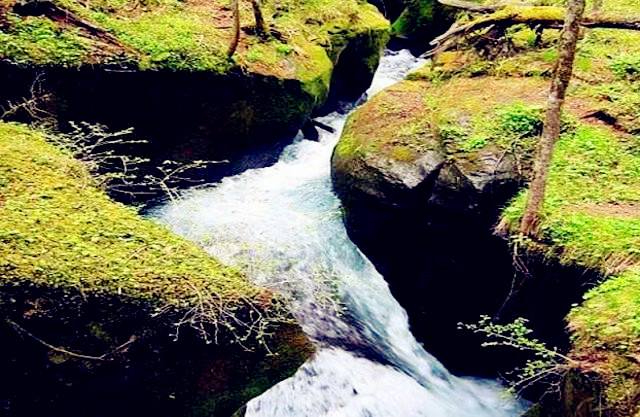 长白山旅游必去景点（盘点18个长白山必去景点）(13)