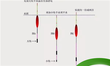 钓鱼调漂调平水钓两三目是什么意思